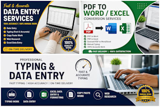do data entry, copy typing, pdf to word and exel