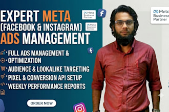 create and optimize meta ad campaign for maximum ROI