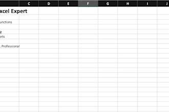 create excel formulas, pivot tables, data cleaning, and professional repo