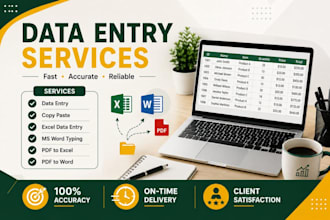 do accurate data entry copy paste  microsoft excel and typing work
