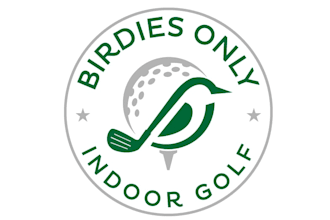 design a professional bird logo with one day delivery