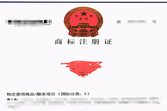 china trademark search and risk assessment services