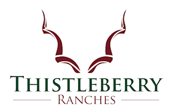 create a professional, memorable and distinctive logo