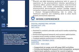 design a professional  resume CV