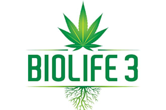 design professional cannabis, cbd, weed, hemp or marijuana logo