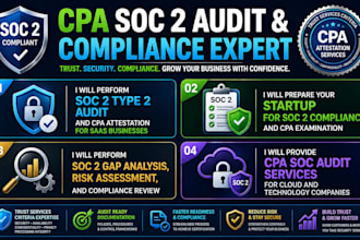provide CPA forensic accounting fraud investigation litigation report