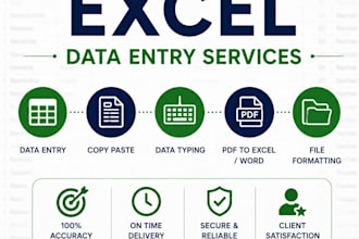 do excel data entry, copy paste and data typing