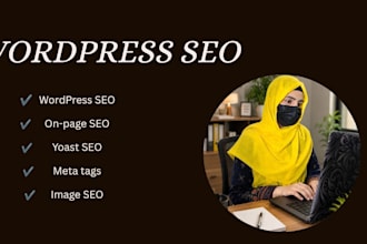 do professional SEO on page optimitation
