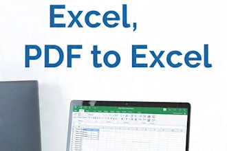 do fast accurat deta entry,excel and pdf to excel