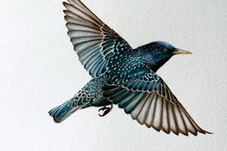 draw a scientific illustration