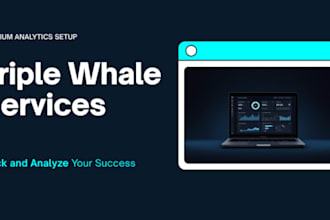 set up triple whale ecommerce analytics for shopify, setup northbeam and hyros