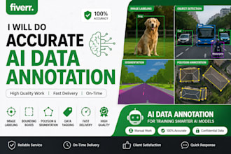 professional ai data annotation and data labeling
