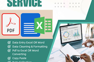 excel data and reporting specialist and pdf to excel converting