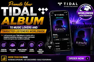 promote your tidal album to music lovers and targeted listeners worldwide