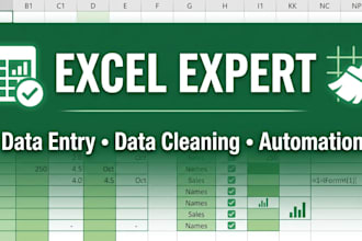 do ms excel google sheet data entry cleaning expert