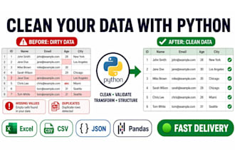 clean, organize, and preprocess datasets using python