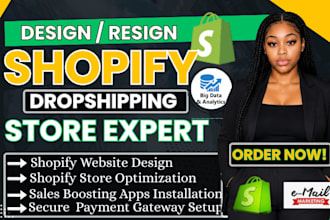 build scalable dropshipping shopify store ecommerce website shopify seo expert