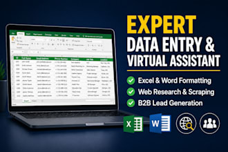 do professional data entry copy paste work contact writing