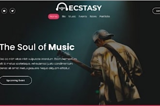 create music website artist website dj website musician website podcast website