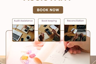 do financial audit assistance