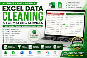 clean and format excel spreadsheets professionally