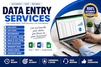 do accurate data entry, excel, copy paste and web research