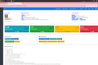 perform android apk penetration testing