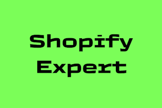 design a shopify website for your business