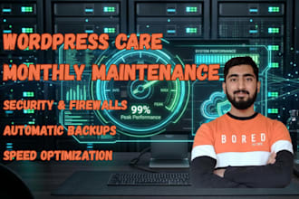 do monthly wordpress maintenance support security and backup