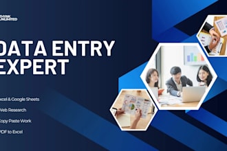 do professional data entry, web search  and copy paste