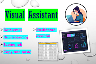 do data entry work data cleaning dashboard creations