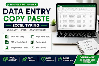 do accurate data entry, copy paste, and typing work