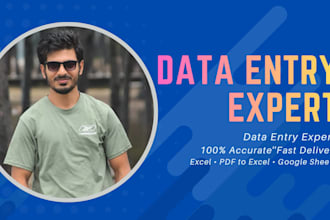 accurate data entry, excel and google sheets work