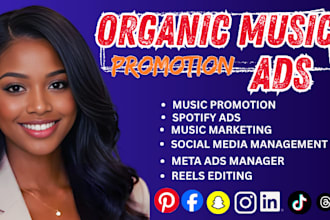run your music spotify ads, meta ads, google ads, social media manager and PR