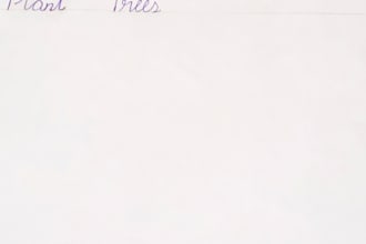 copy text in beautiful handwriting
