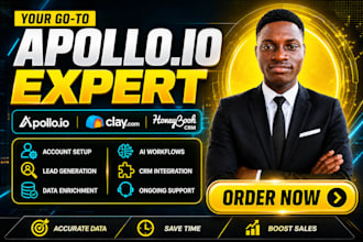 setup honeybook CRM, apollo io, clay com automation and build custom ai agents
