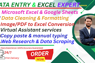 do expert data entry and excel work