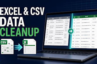 clean format and organize your excel or CSV data
