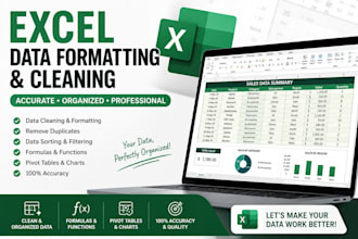 format excel sheets and clean up data