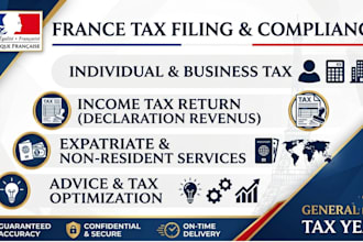 file your french income tax return as a licensed expat tax accountant