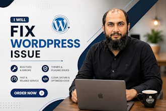 fix errors, bugs, responsive issues, provide wp assistance