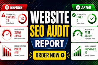 do a complete website SEO audit with optimization report