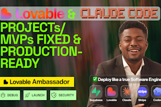 fix your lovable project as lovable ambassador