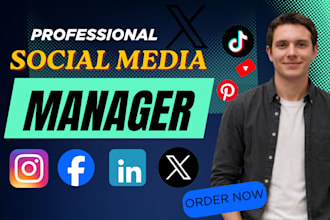 be your social media marketing manager, instagram facebook content creator
