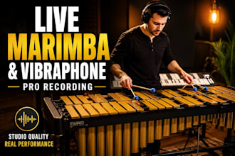 record professional marimba, vibraphone or timpani for your song