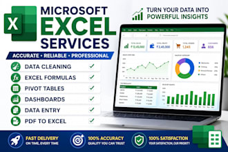 do microsoft excel data cleaning, formatting, and dashboards