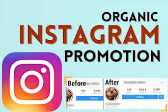 do instagram promotion for fast organic instagram growth and engagement