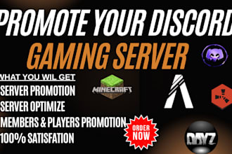 promote your discord server, minecraft server fivem server, dayz and rust server