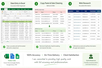 do accurate data entry, copy paste and web research