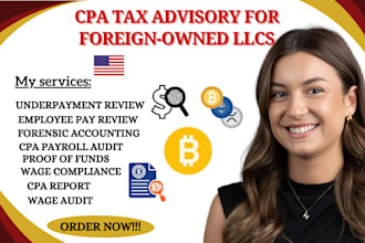 provide CPA tax advice for foreign owned llc and irs compliance, assist with ein